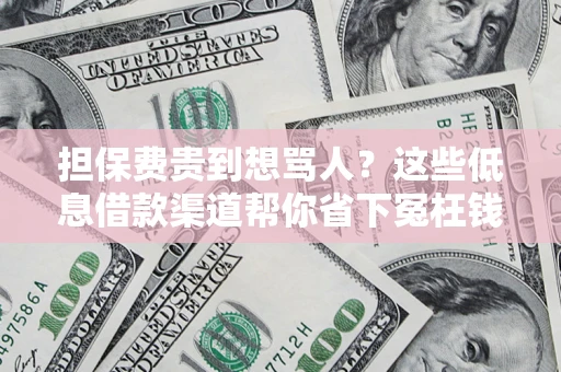 北京担保费贵到想骂人？这些低息借款渠道帮你省下冤枉钱