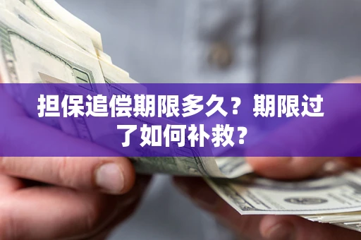 北京担保追偿期限多久？期限过了如何补救？