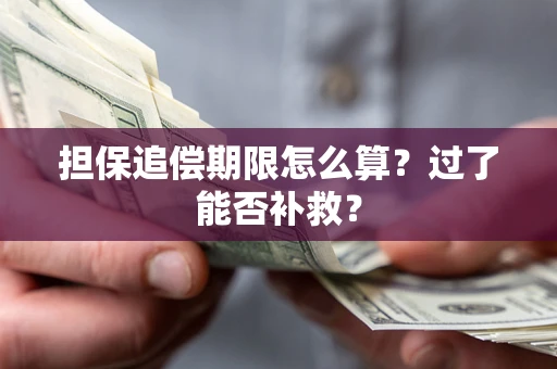 北京担保追偿期限怎么算？过了能否补救？
